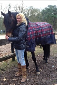 Teambuildig met paarden, paardencoaching Utrecht